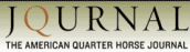 American Quarter Horse Journal logo American Quarter Horse Journal logo